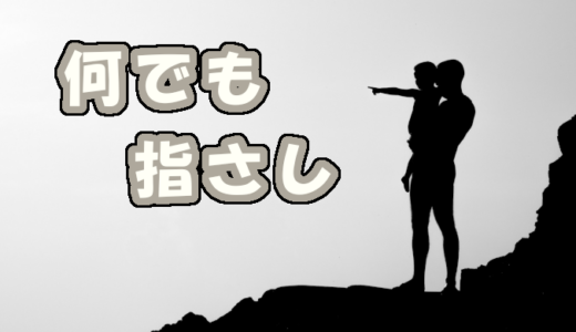 【双子】【１歳２カ月】何でも指さし！！！