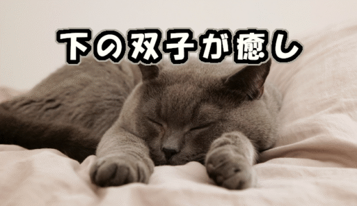 【W双子】【４カ月】下の双子が癒し