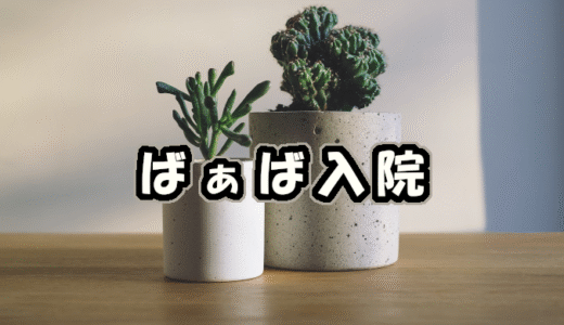 【W双子】ばぁば入院