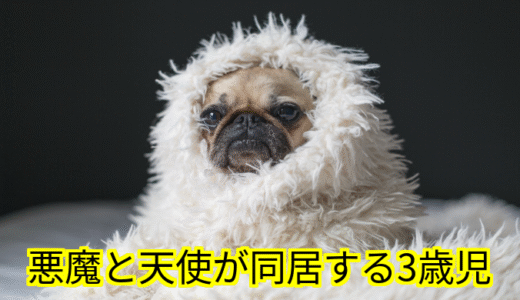 【W双子】悪魔と天使が同居する３歳児