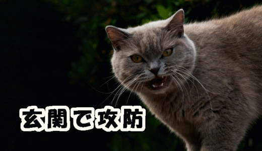 【W双子】玄関での攻防