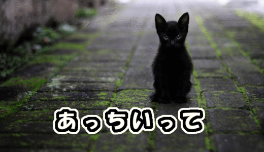 【W双子】「あっちいって！！！」