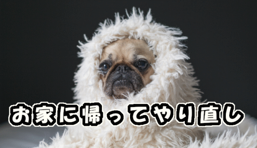 【W双子】お家に帰ってやり直し