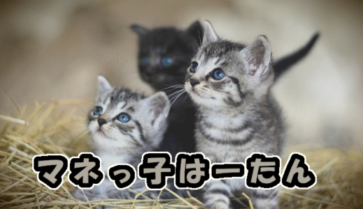 【W双子】マネっこはーたん