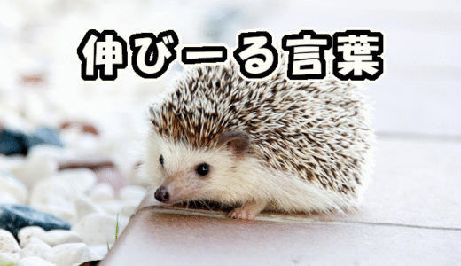 【W双子】伸びーる言葉