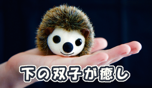 【W双子】下の双子が癒し