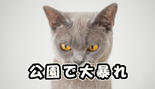 【W双子】公園で大暴れ