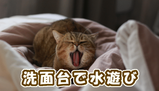 【W双子】洗面台で水遊び